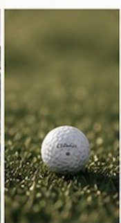 Golf ball on the green